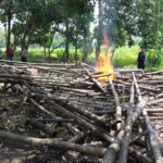 IMG-20250421-WA0102(2)